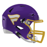 Minnesota Vikings
